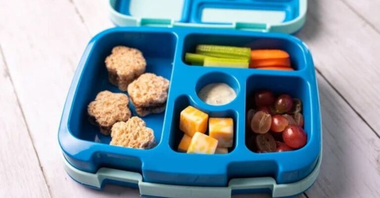 50 Kid-Friendly Lunchbox Snacks That Are Healthy and Easy to Pack